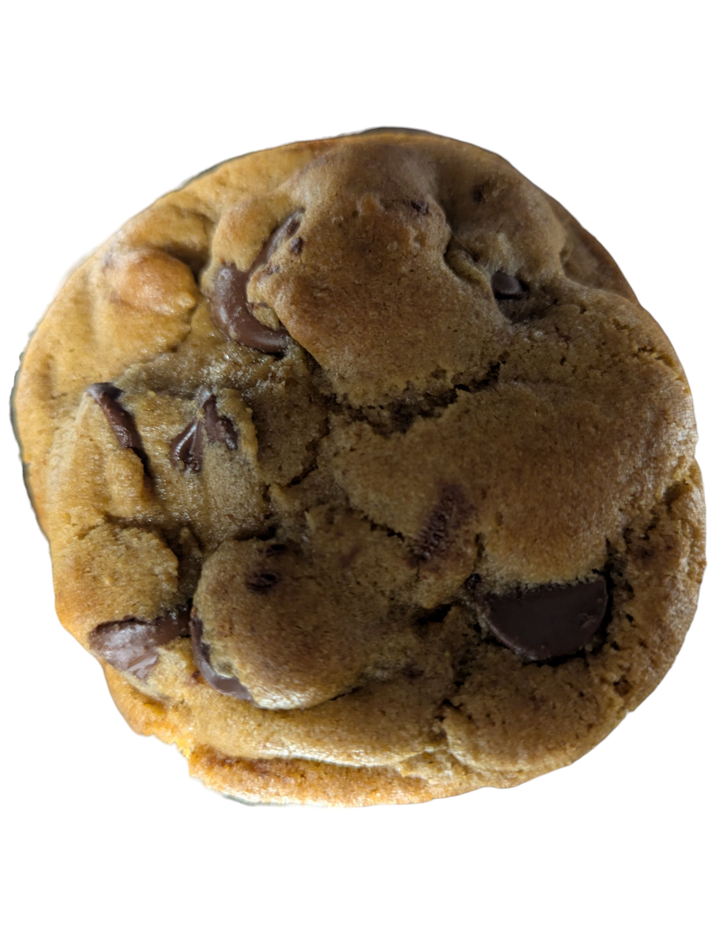 Brown Butter Chocolate Chip Cookie